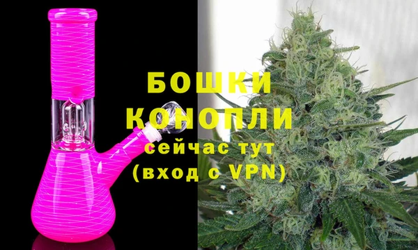 молекула духа Балахна