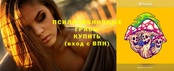 молекула духа Балахна
