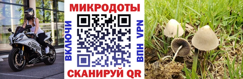 hydra сайт  Балтийск  Псилоцибиновые грибы MAGIC MUSHROOMS 